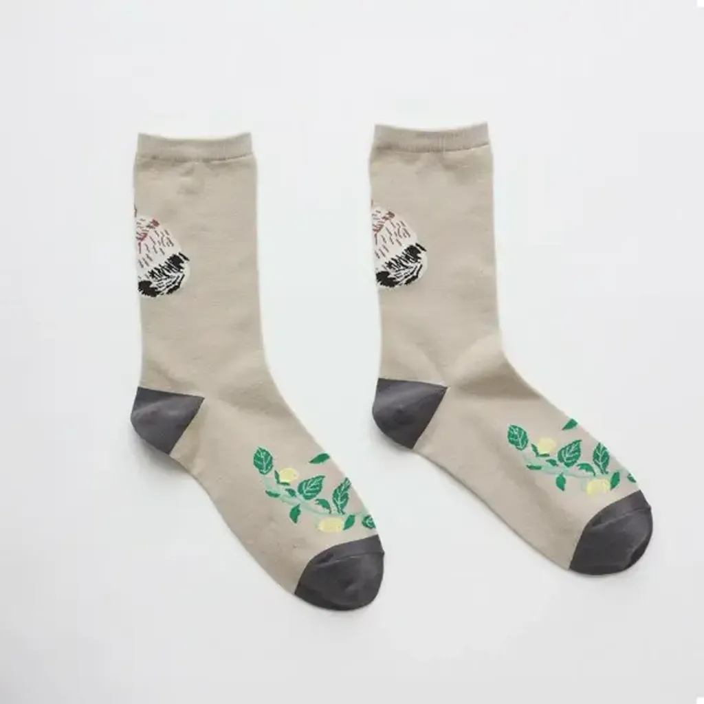 image_63291052-8B16-4E10-9179-C23786906A1D_1760064463