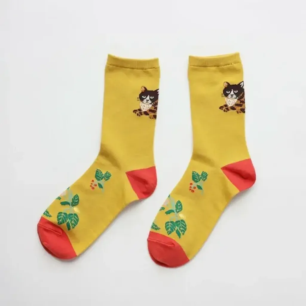 image_05FA5B20-7048-46D8-B0AF-5737F2D0A8CF_1760064535