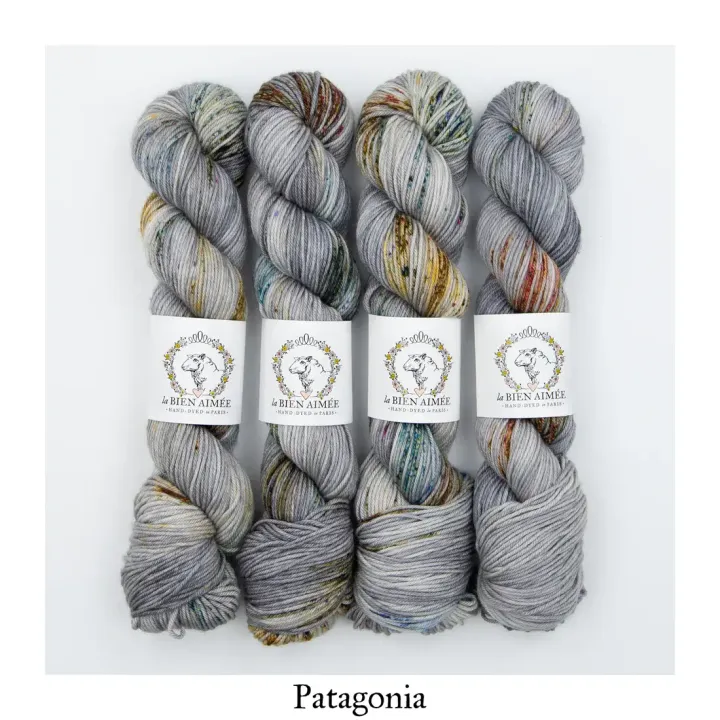 Patagonia_-_Merino_DK_-_La_Bien_Aimee.png