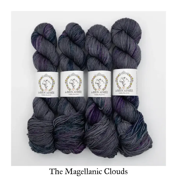 The_Magellanic_Clouds_-_Merino_DK_-_La_Bien_Aimee.png