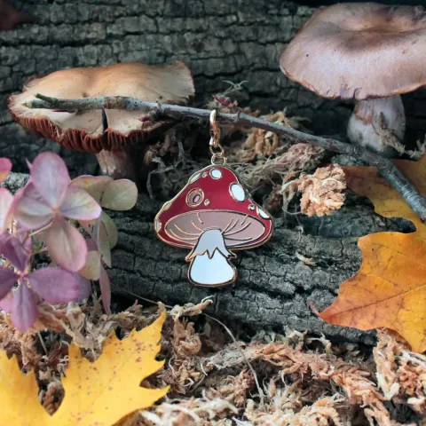 image_C1C3FD95-D62D-49DB-B151-2B605C9230D1_1768189814