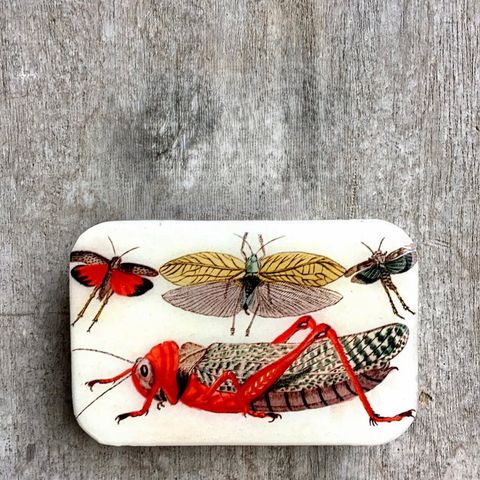 image_7CD07261-2539-4313-A160-8AB890082B22_1768286807