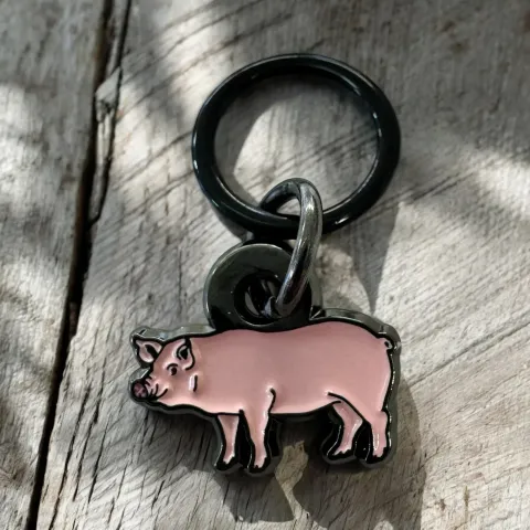 image_5F269582-B157-4716-80A0-3141A21F8186_1768287374