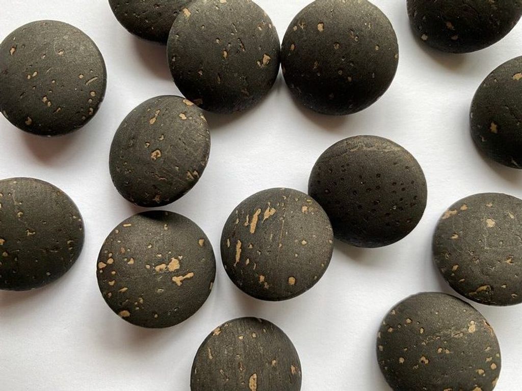 IMG_7537-rotated-e1635018808645