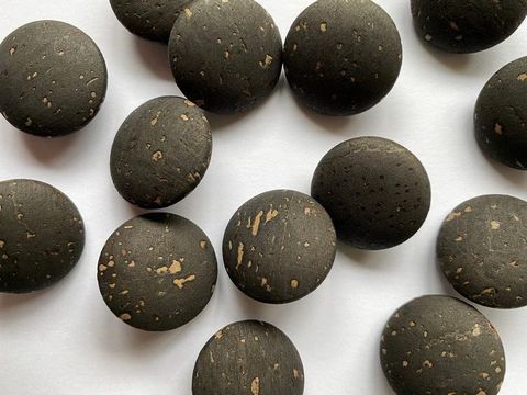 IMG_7537-rotated-e1635018808645