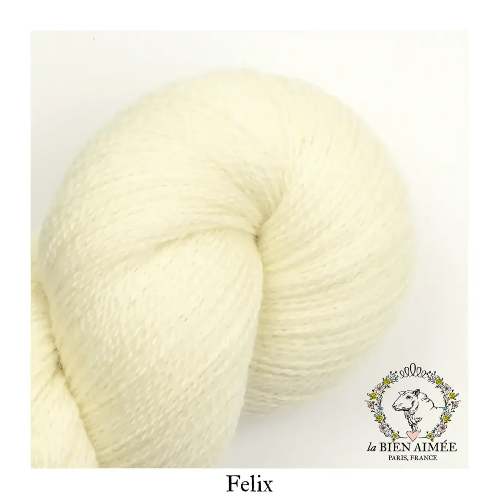 image_B27BC914-5E73-4667-87EF-599637DFFCAB_1772175915