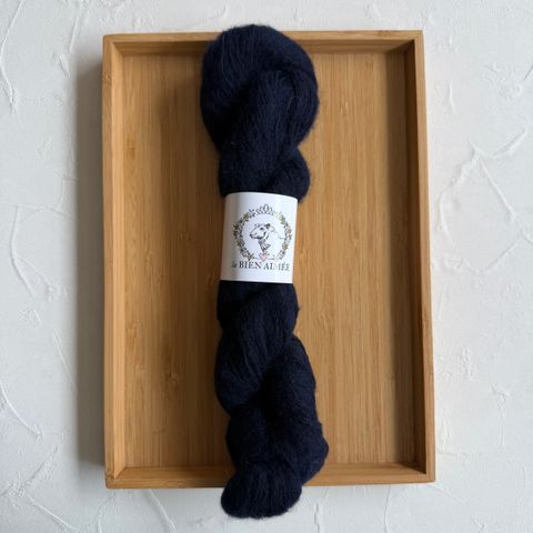 image_14BEF2EA-3201-464F-8C2F-A56F902A92D8_1772176819