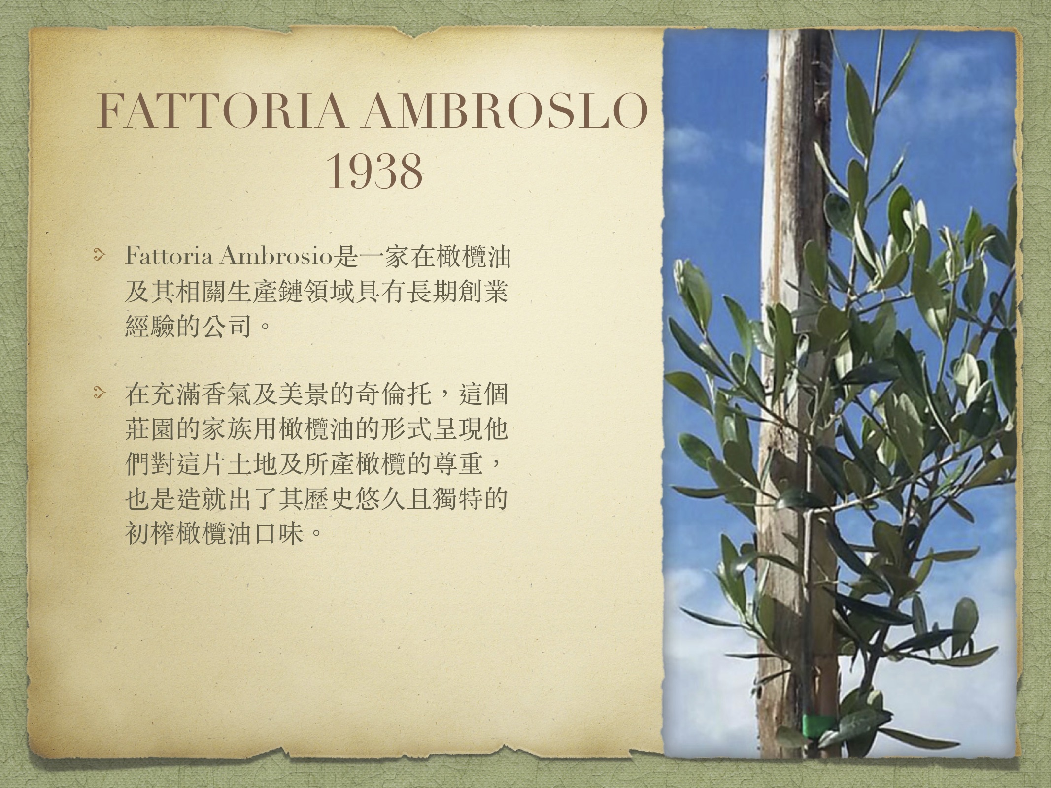 FATTORIA AMBROSLO（已拖移） 2.jpg