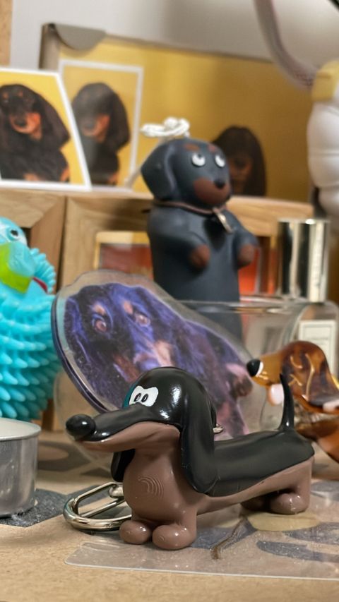 aa7a4a33f0923714d1ebd6aca5f1e4b7