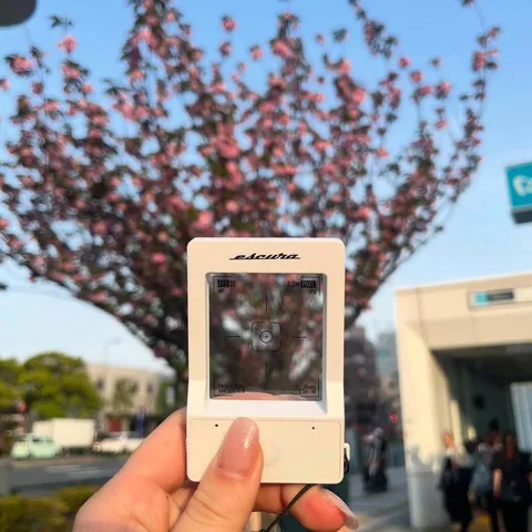 IMG_8409-1751712499158