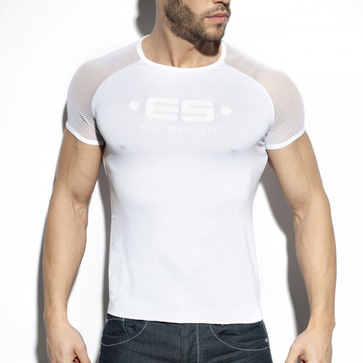 TS264.jpg