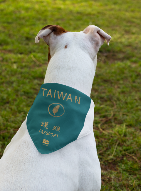 mockup-of-a-white-dog-wearing-a-sublimated-bandana-at-the-park-33281 (2).png