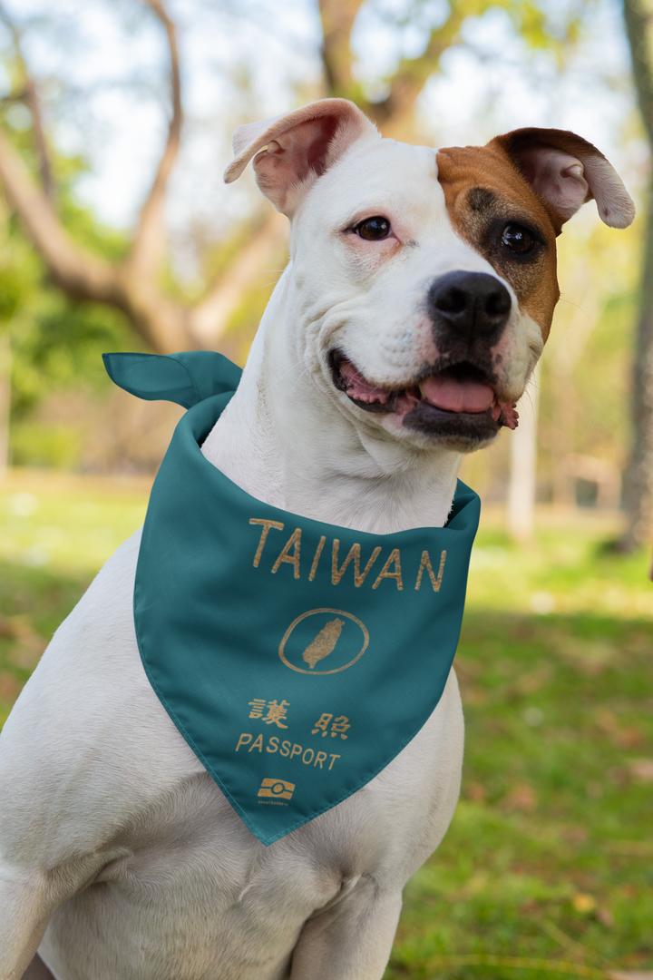 sublimated-bandana-mockup-featuring-a-dog-33282 (1).png