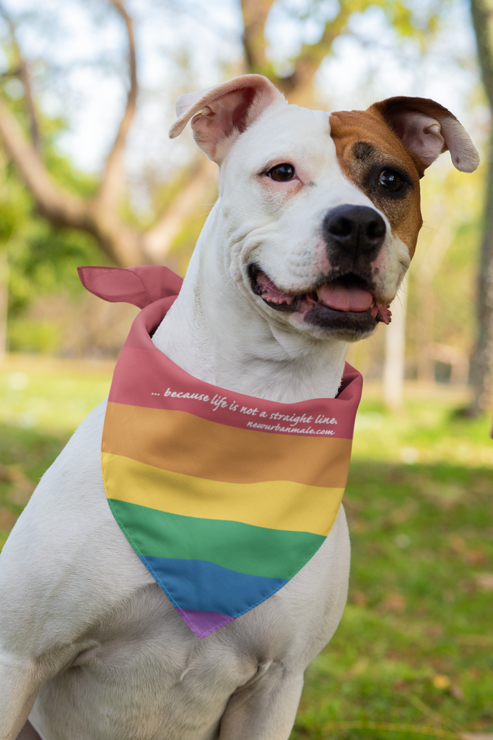 sublimated-bandana-mockup-featuring-a-dog-33282 (3).png