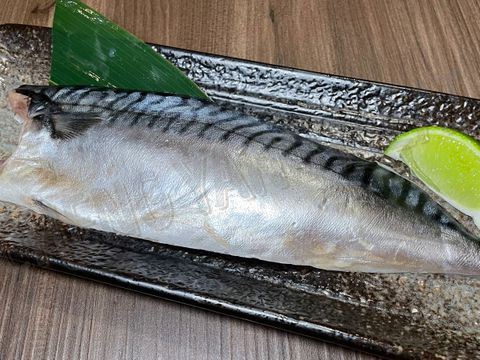 鯖魚02.jpg