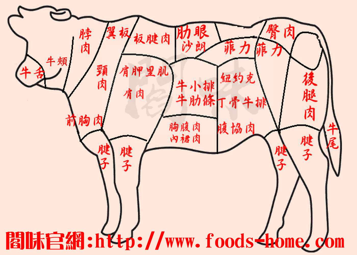 認識市場上常見牛肉名稱及部位適合烹煮方式– 閻味私房料理