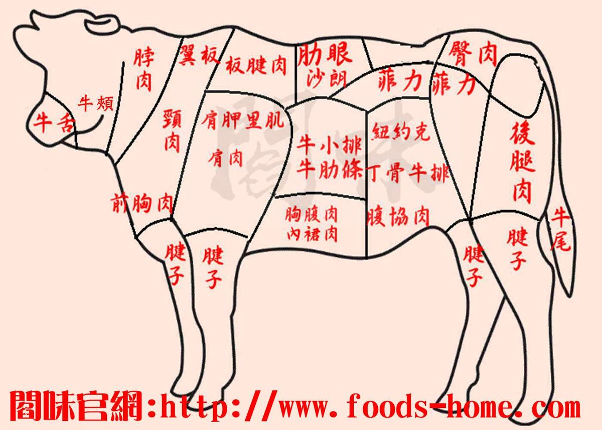 認識市場上常見牛肉名稱及部位適合烹煮方式