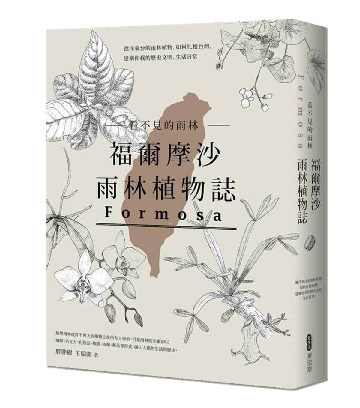 閱讀《看不見的雨林＿福爾摩沙雨林植物誌》