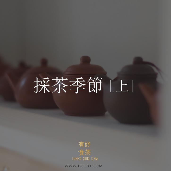 【茶知識】採茶季節  [上］