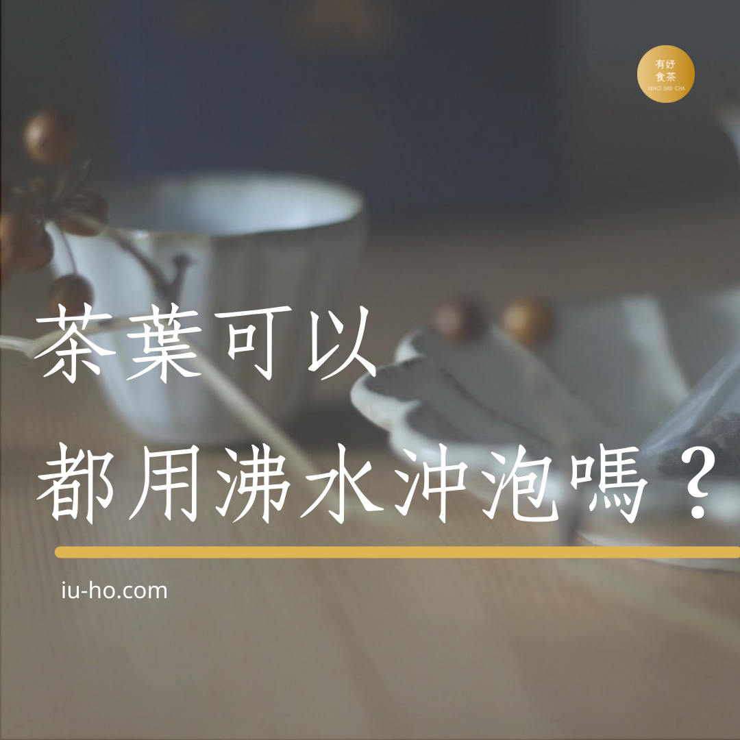 【茶知識】茶葉可以都用沸水沖泡嗎？