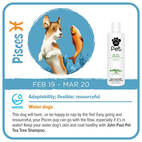 JPP Astrology 1x1_Pisces.jpg