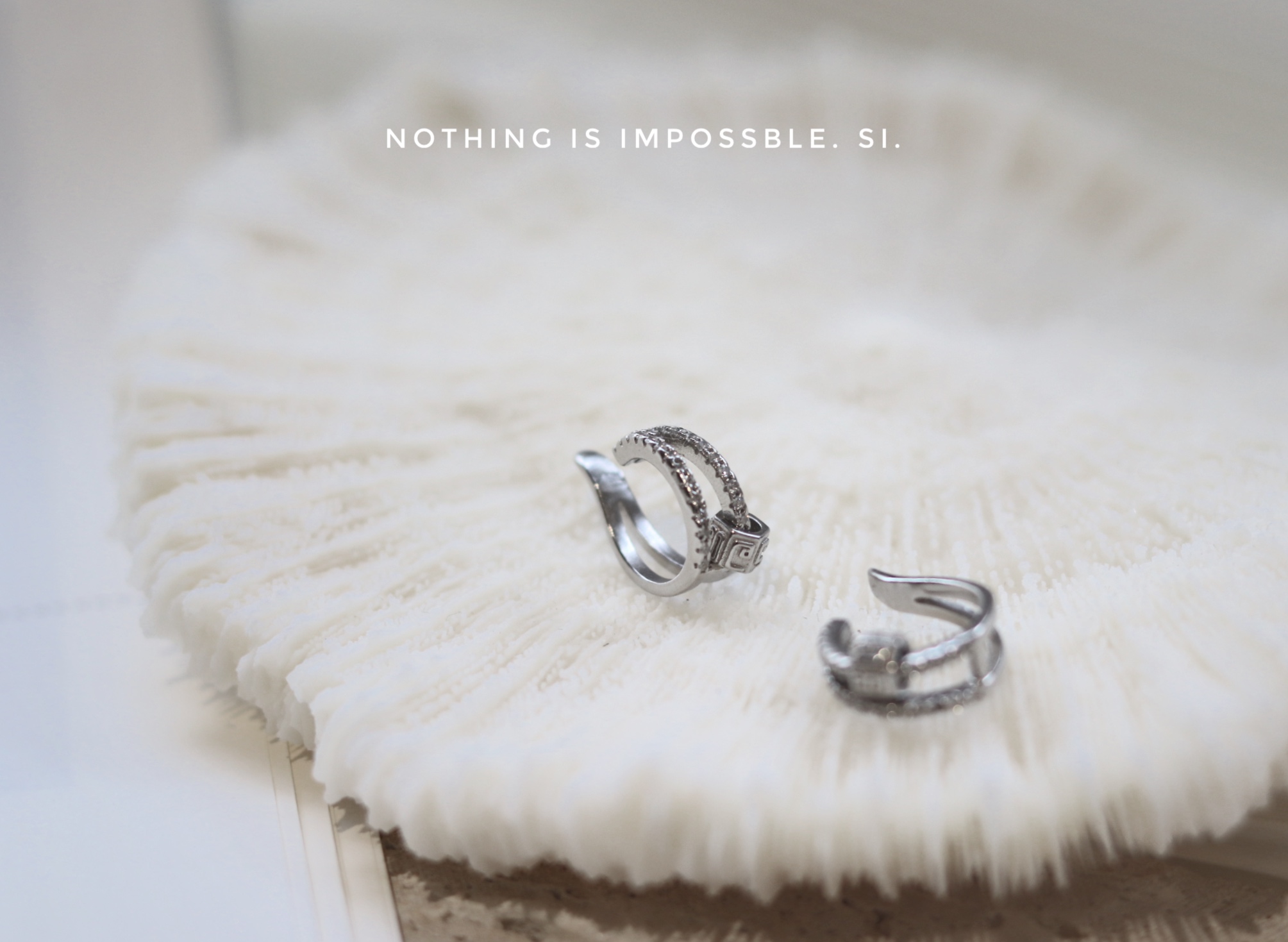 19823B5B-8561-4227-9623-07936880C984.jpeg 19823B5B-8561-4227-9623-07936880C984.jpeg