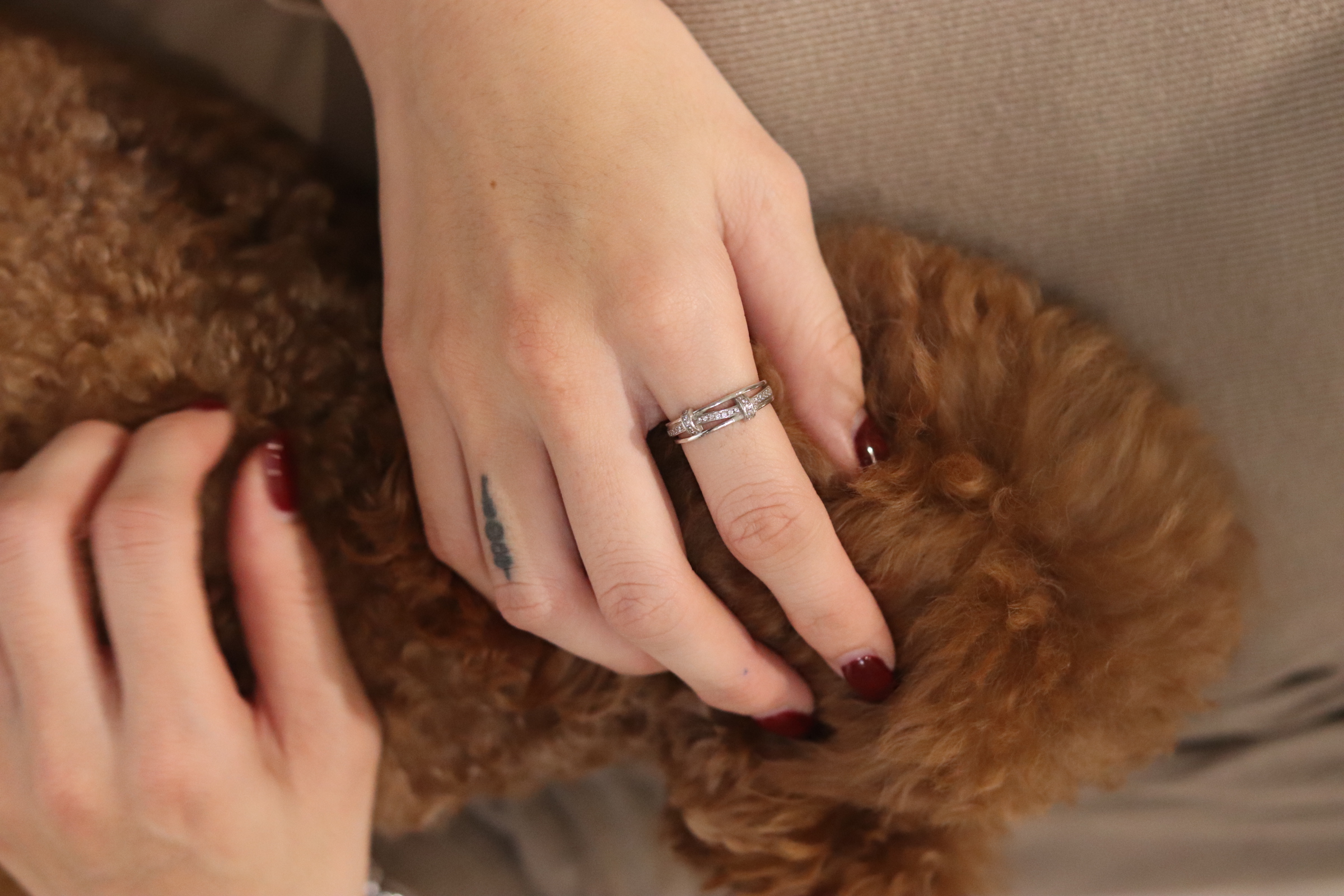 F9564D86-D023-464D-85CE-4F3986D183C0