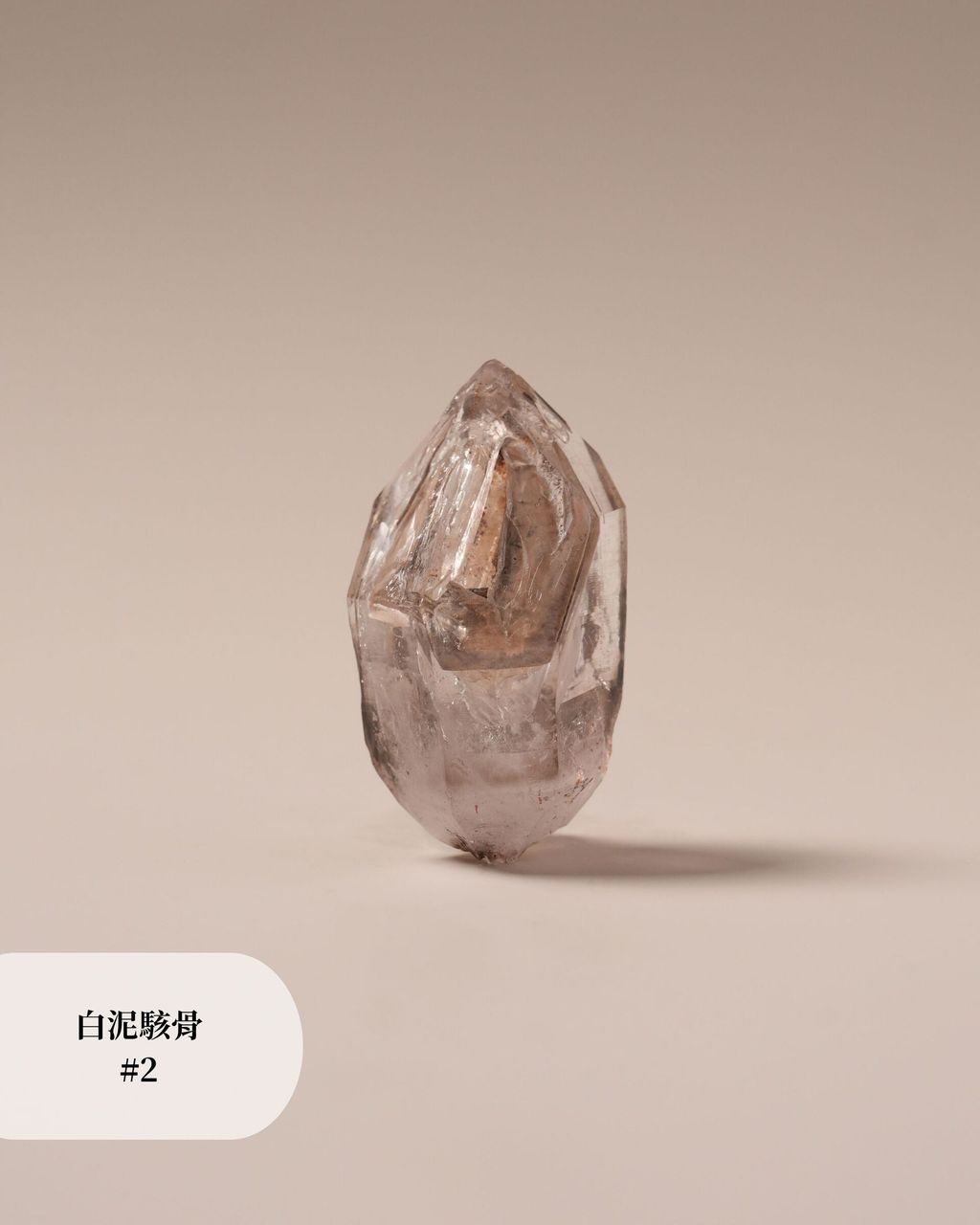 白泥駭骨 #2