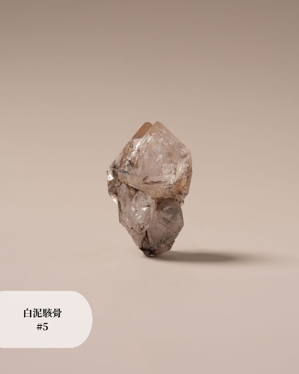 白泥駭骨 #5