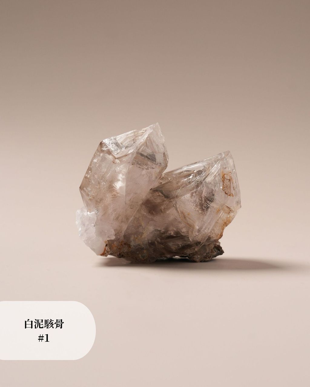 白泥駭骨 #1