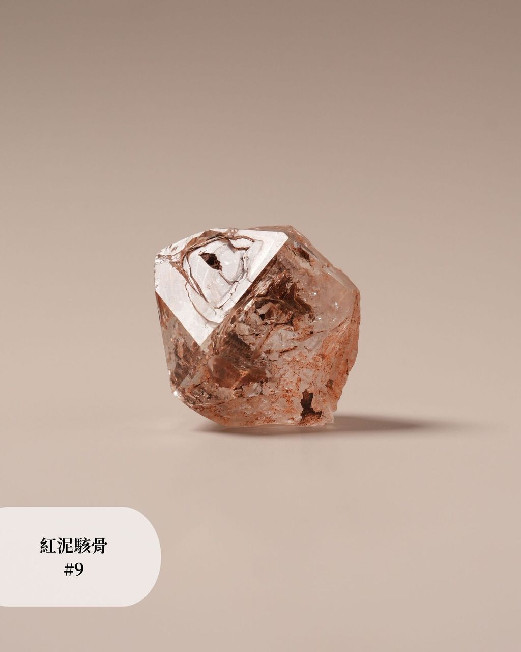 紅泥駭骨 #9