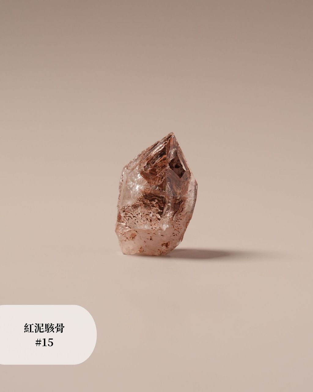 紅泥駭骨 #15