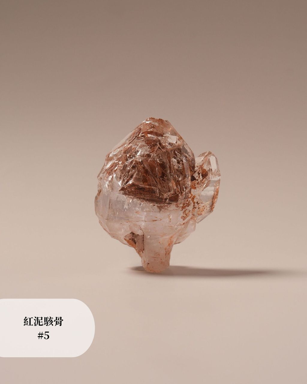 紅泥駭骨 #5
