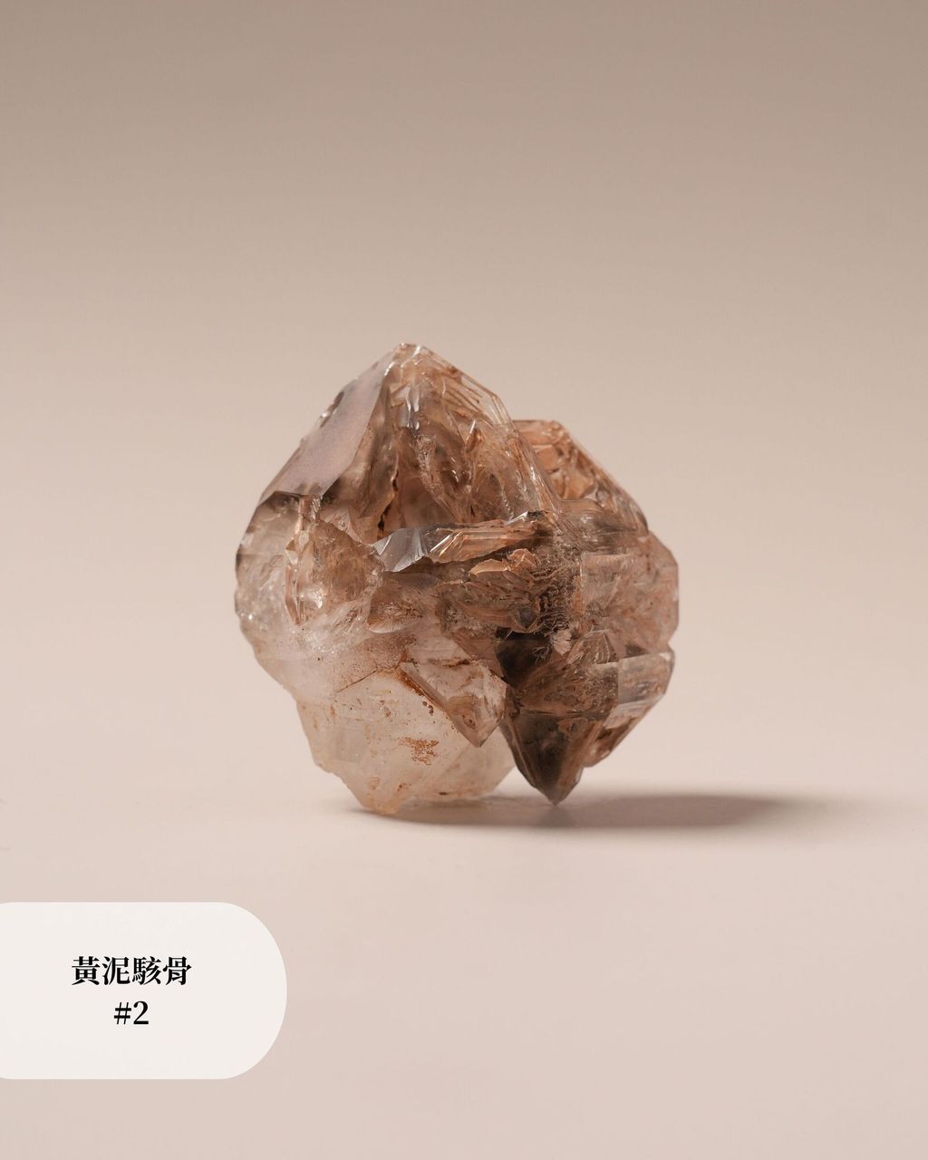 黃泥駭骨 #2