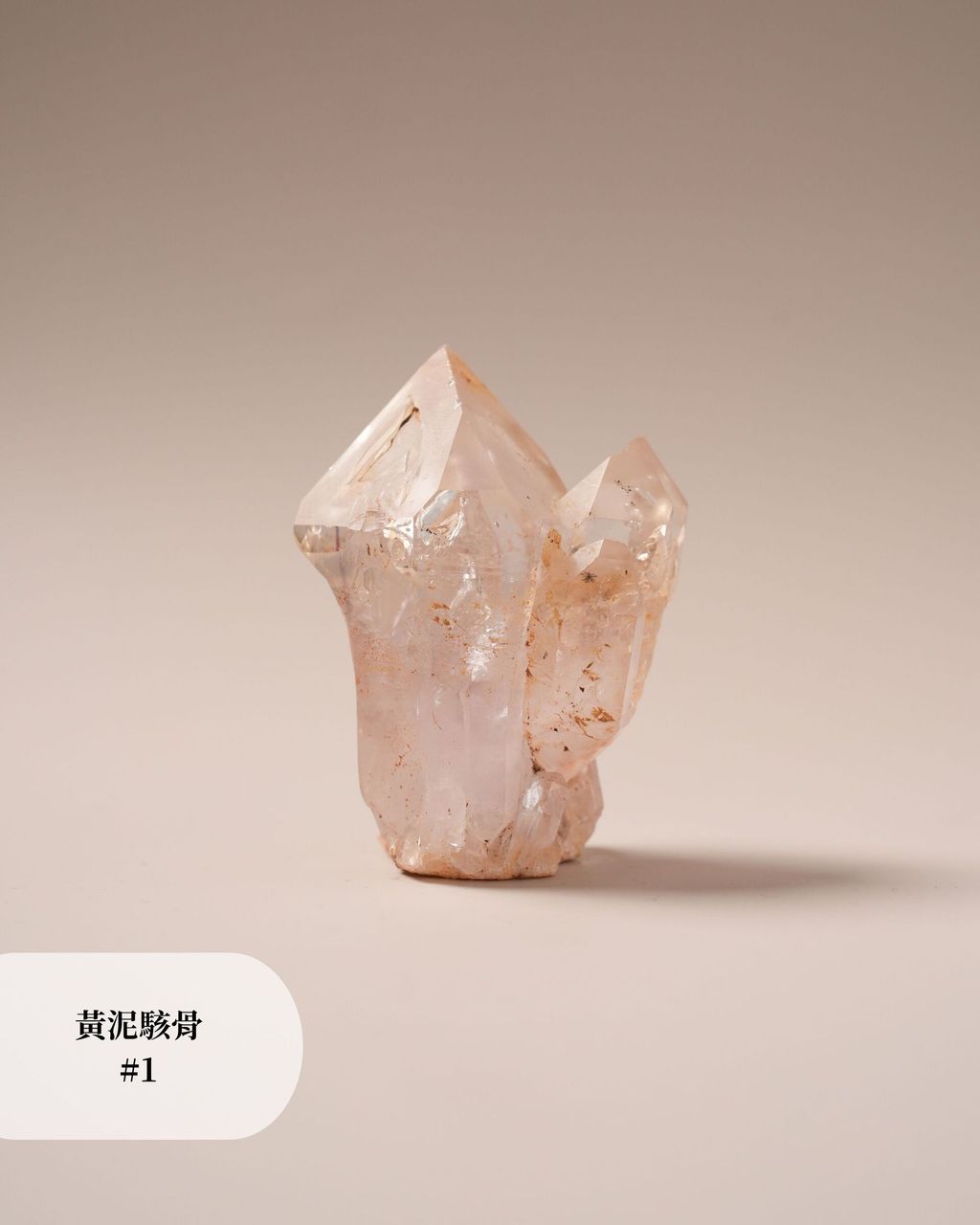 黃泥駭骨 #1