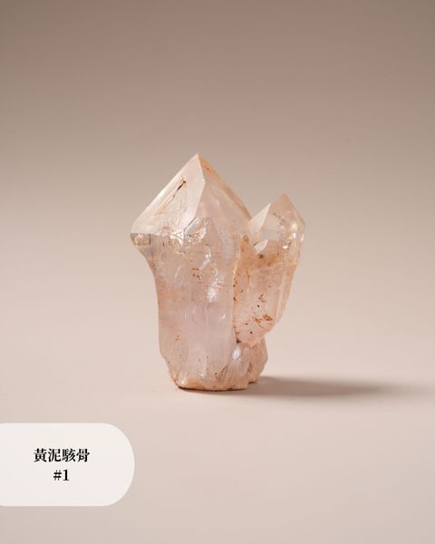 黃泥駭骨 #1