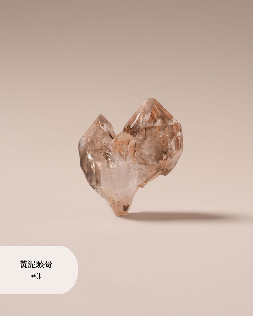 黃泥駭骨 #3