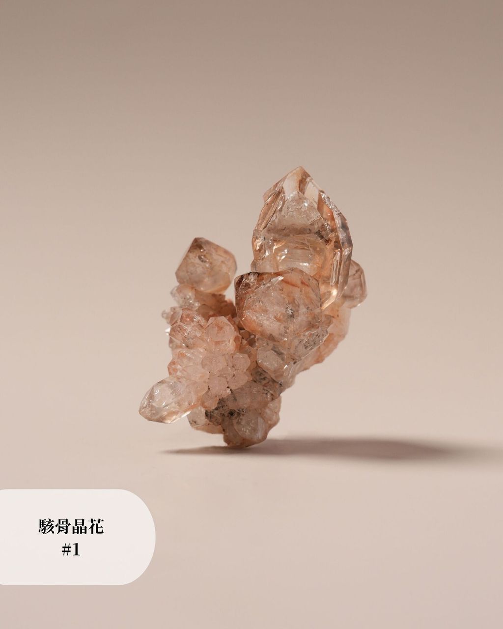 駭骨晶花 #1