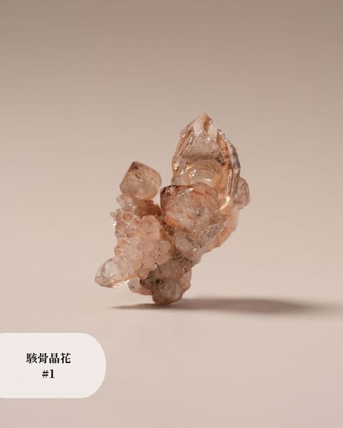 駭骨晶花 #1