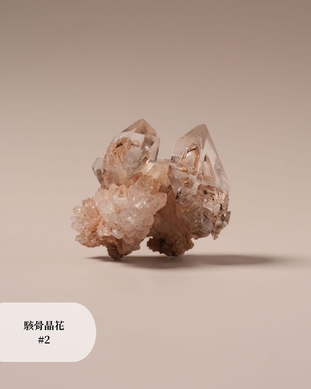 駭骨晶花 #2