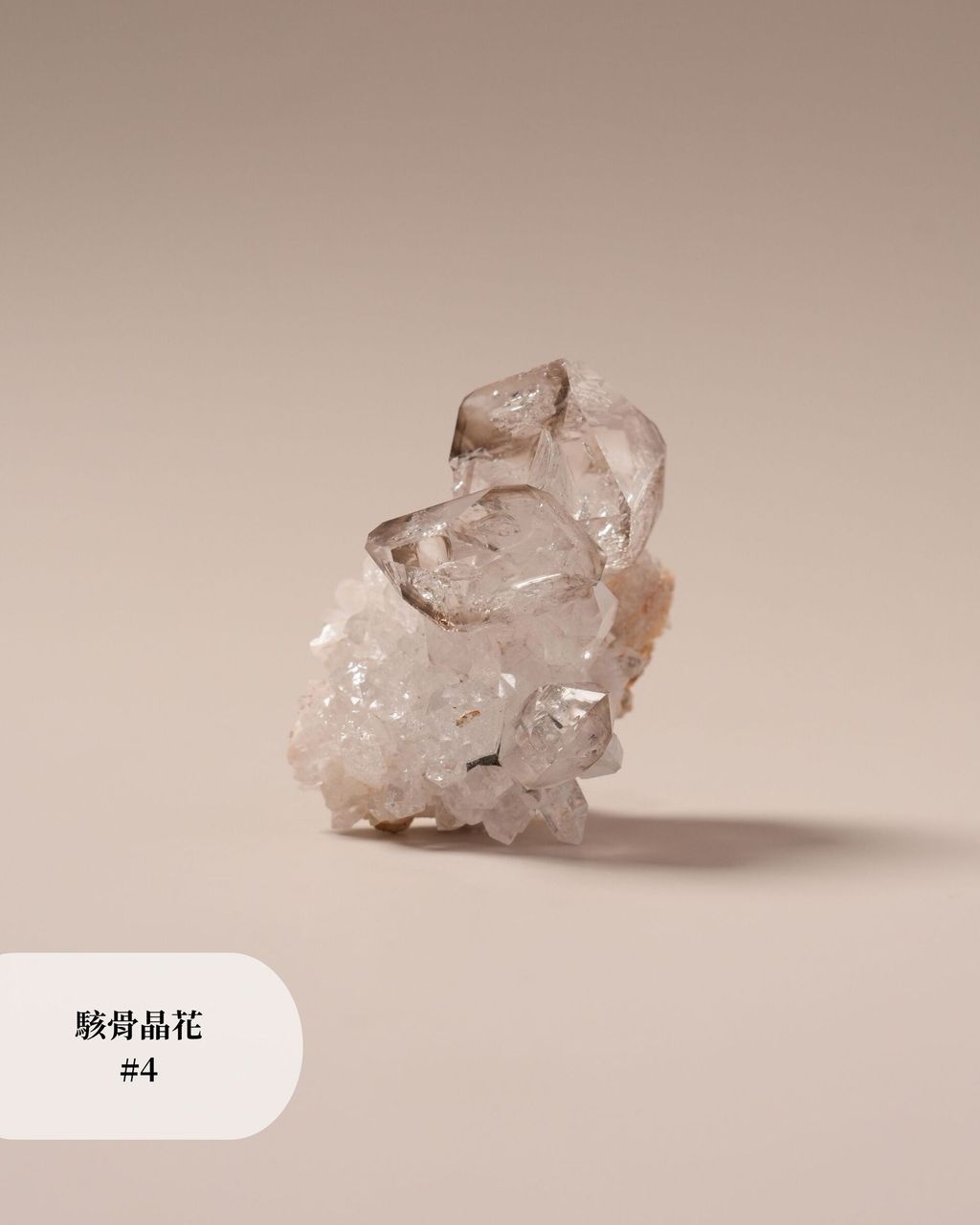 駭骨晶花 #4