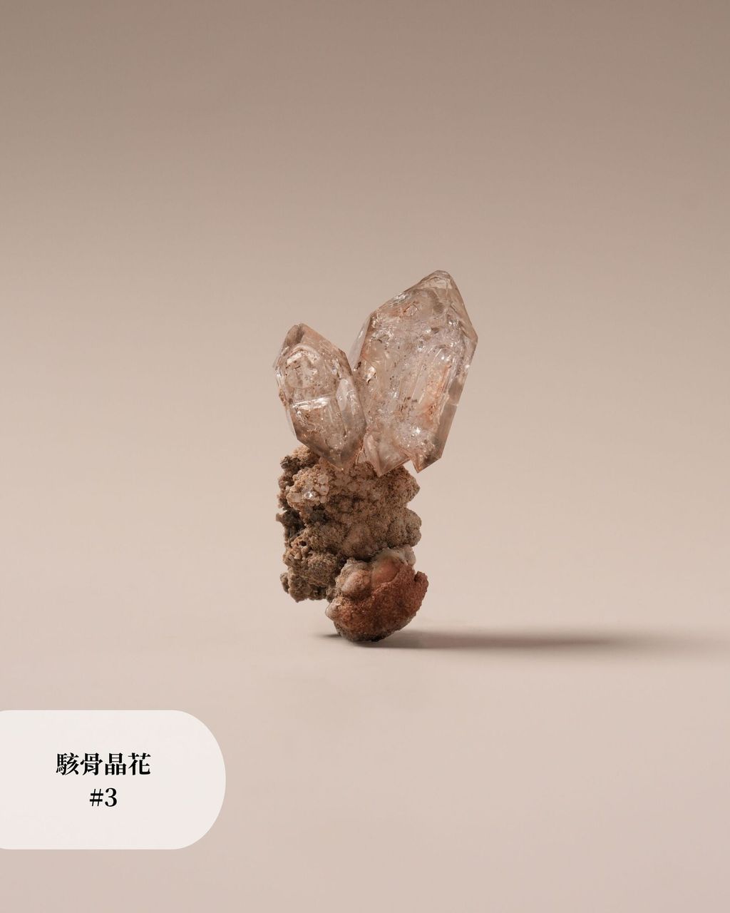 駭骨晶花 #3