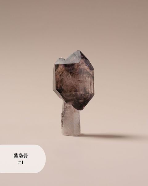 紫駭骨 #1
