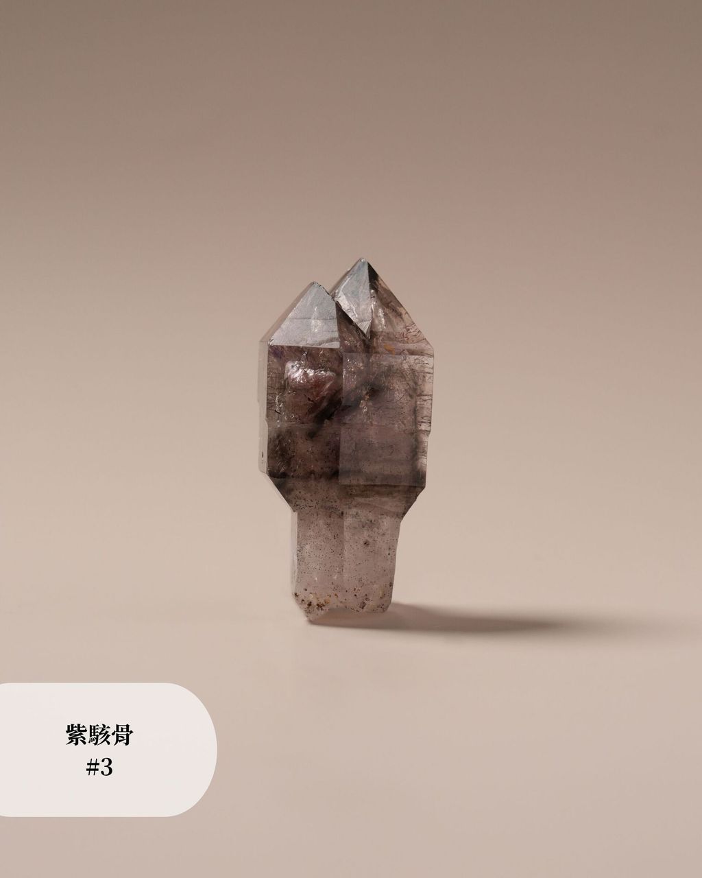 紫駭骨 #3 (2)
