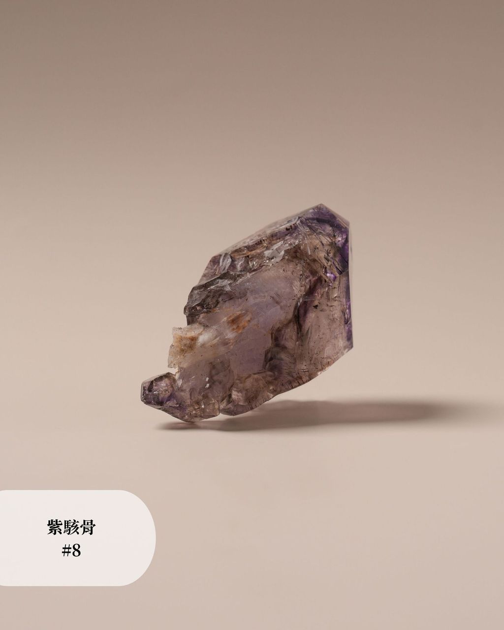 紫駭骨 #8 (2)