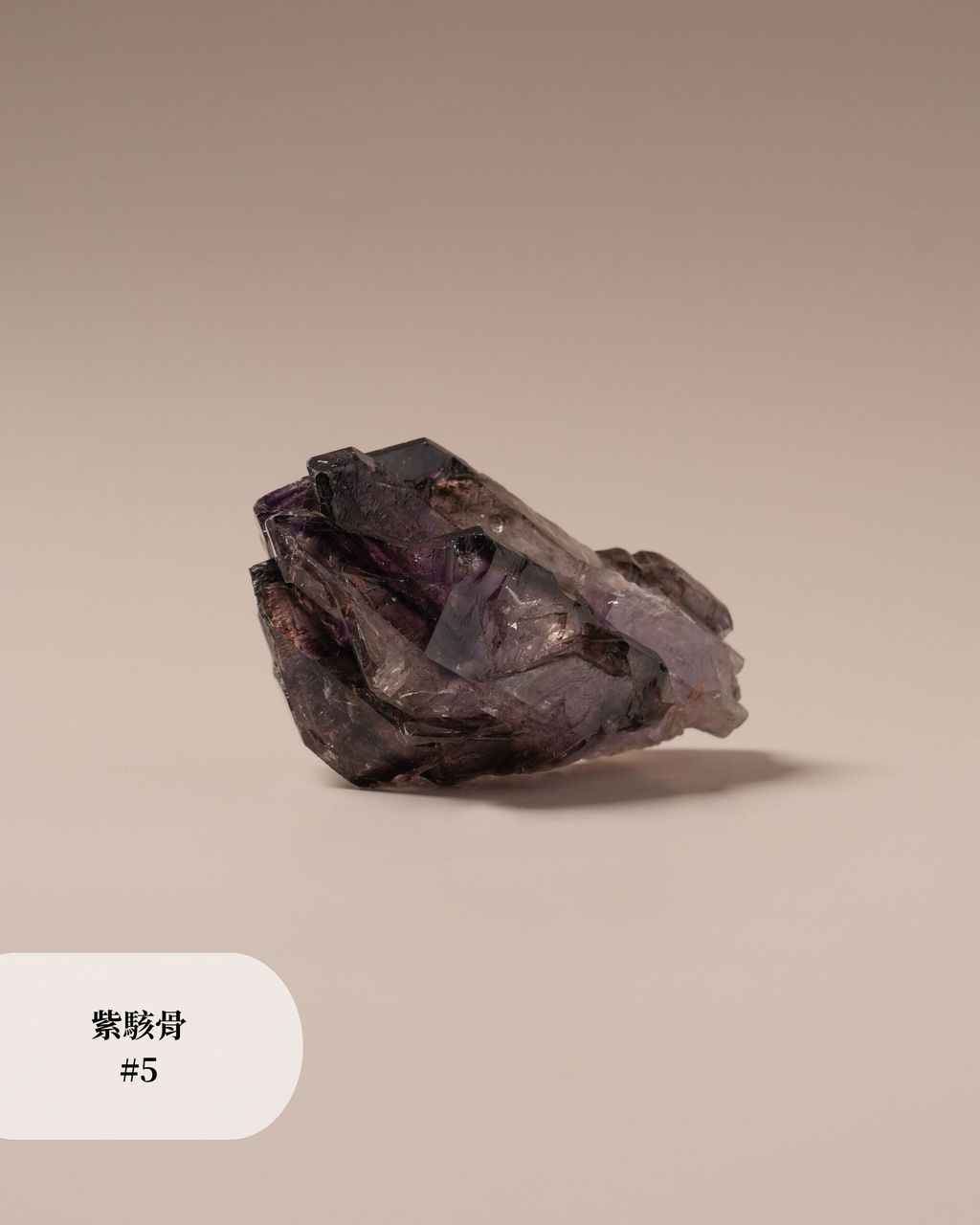 紫駭骨 #5 (2)