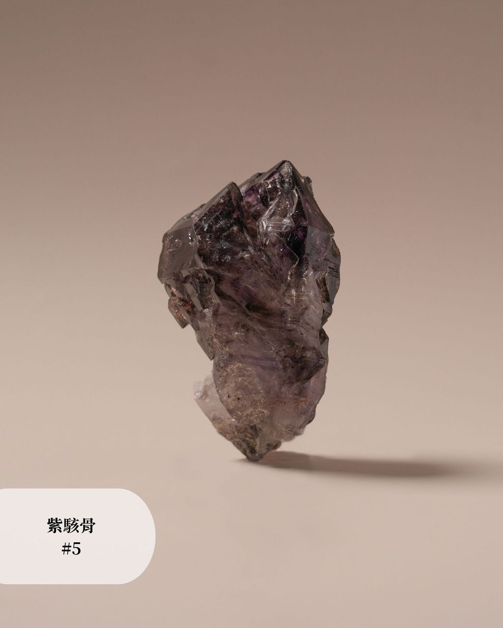 紫駭骨 #5 (3)