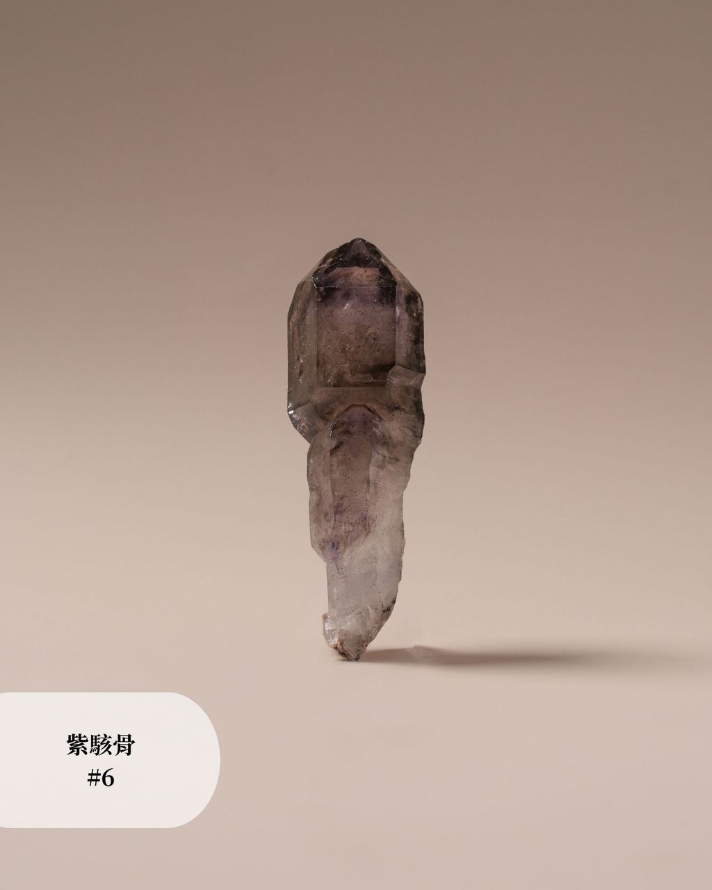 紫駭骨 #6