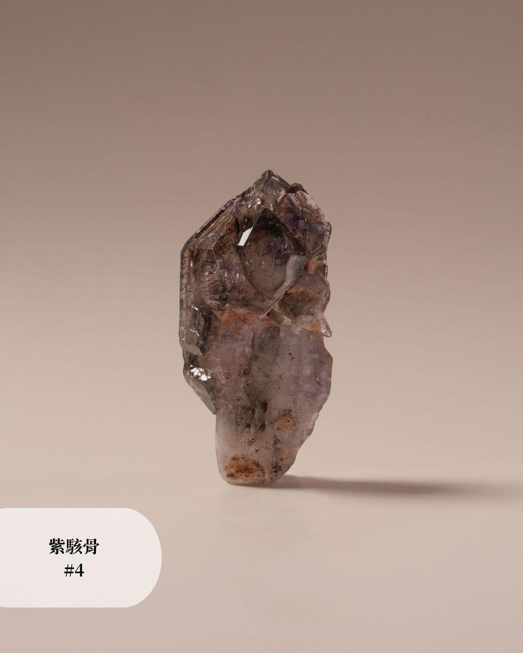 紫駭骨 #4 (2)