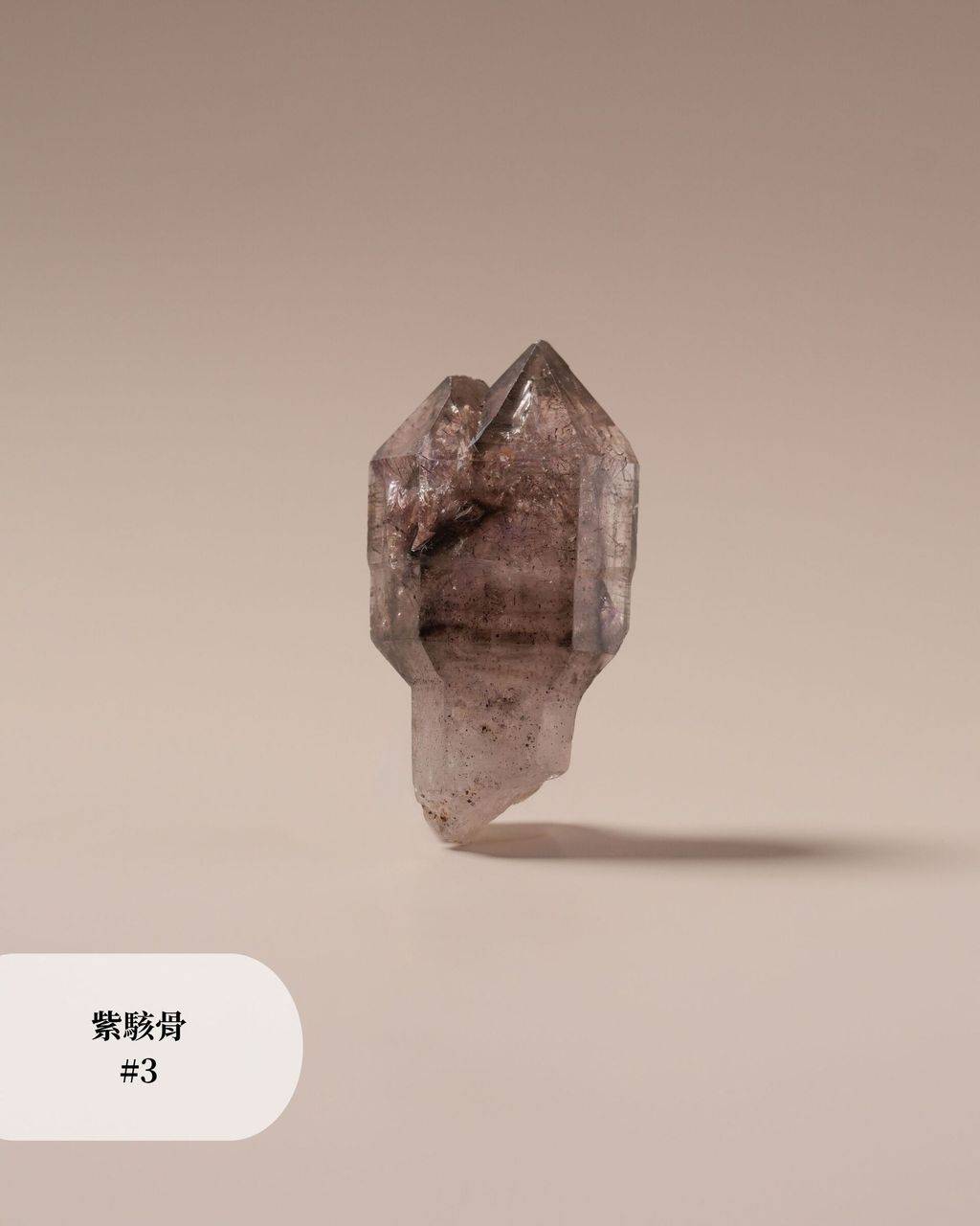 紫駭骨 #3